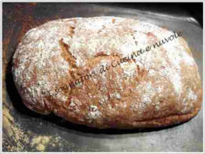 PANE CIABATTA