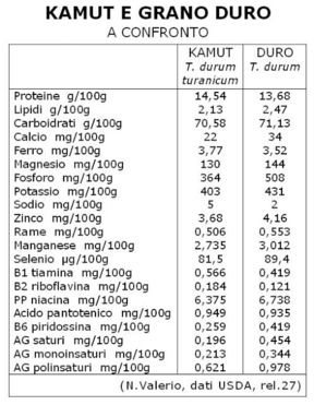 KAMUT, orientale o khorasan: simile agli altri grani integrali, ma più costoso.