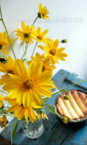 crostata di frolla al cioccolato e ricotta - ass. volontariato Cornelia De Lange