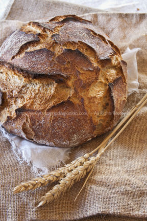 Pane senza impasto con farina tipo2, farina integrale e semi di girasole