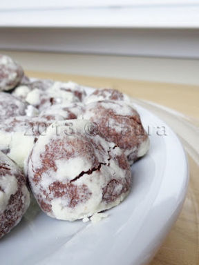 Biscotti al cioccolato di Serena