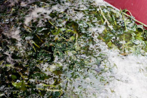 L'ortica, l'equiseto, e la riduzione del rame