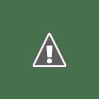 INVOLTINI DI FIORI DI ZUCCA