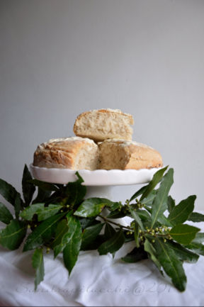 Panis Siligineus Flores: il pane come lo mangiavano a Pompei -  Panissimo#24