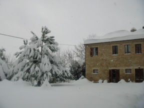 Agriturismo, Marche