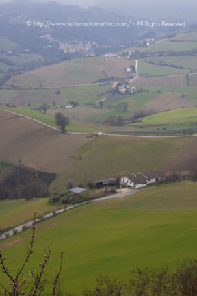 Di Montedinove, del sindaco, di Edvige e del risotto alle mele rosa dei monti Sibillini