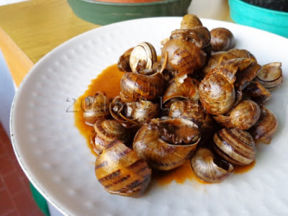 Chiocciole del mio babbo