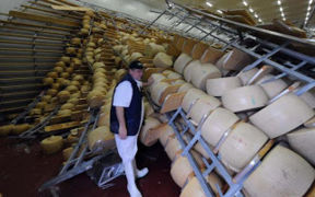 Il parmigiano del terremoto