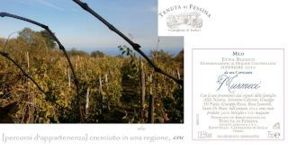 Figli di Terra Madre, la forza di un culto così antico. I custodi degli alberelli di Milo da cui nasce il cru di Carricante IL MUSMECI Bianco 2012