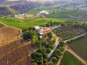 Baglio di Pianetto , i grandi vini siciliani