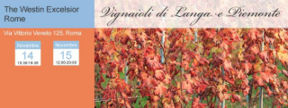 Vignaioli di Langa e Piemonte 2015, Roma