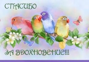 I Premi Creativi di Federica & Lady