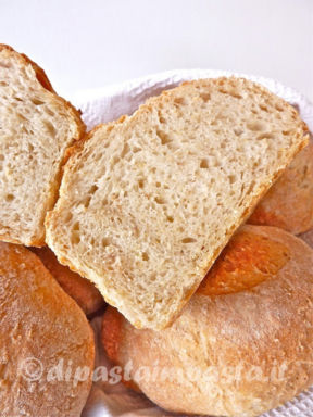 Pane al miglio con lievito madre