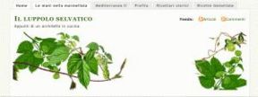 De architectura culinaria… arriva L’ArchiCibVs