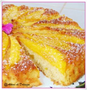 TORTA UMIDA AL MANGO E COCCO