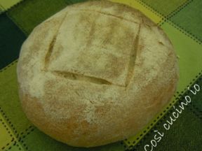 Pane tipo “Altamura” (ricetta con lievito madre)