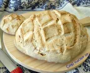 Pantartaruga, lievitati con lievito madre