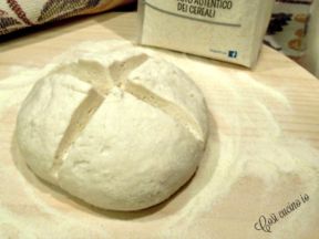 Araba fenice, il mio lievito madre