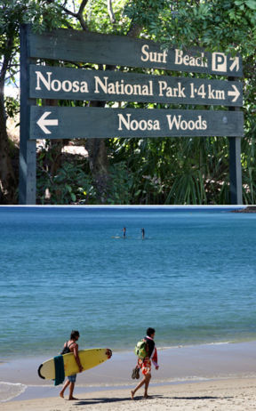 Noosa, capitale del surf e del paradiso