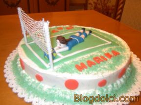 TORTA DI COMPLEANNO PER UNA GIOCATRICE DI PALLAVOLO