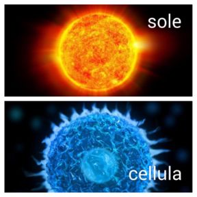 Un nuovo modo di guardare l’universo
