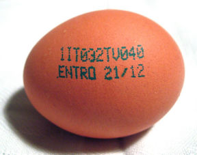 Uova in codice