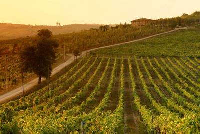 Ponte dell'Immacolata offerte: itinerari ricchi di gusto in Toscana