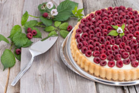 Torta ricotta e cioccolato bianco dei menù di Benedetta