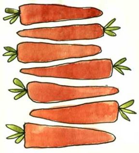 Carote in agrodolce, Carote grattugiate, Purée di carote
