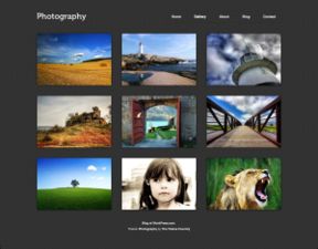 New Themes: Photography, Brand New Day, and Bouquet