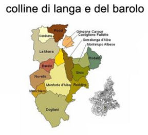 Barbaresco e Barolo 2006: il punto di vista di Consorzio ed Enoteche regionali