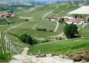 Serralunga e Monforte d’Alba: quando il Barolo fa sul serio