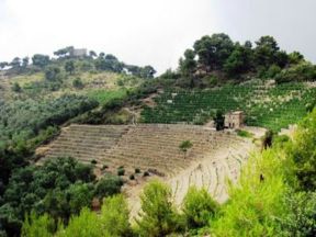 Istruzioni d’uso per apprezzare la New Wave del Rossese di Dolceacqua