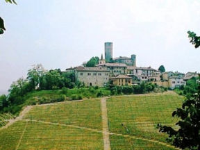 Grande banco d’assaggio di vini di Castiglione Falletto a Brescia