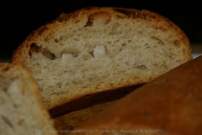 Il World Bread Day 2010 & il mio pane alle cipolle e lardo