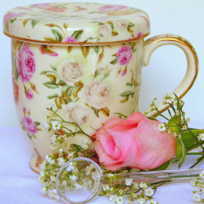 Tisane, elisir e pozioni...l'Ortica