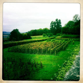 Giorno 3 Ambassadeur du Champagne | Grandeur e Chardonnay, chiusura en rosée con Moet, Fourny e Ruinart