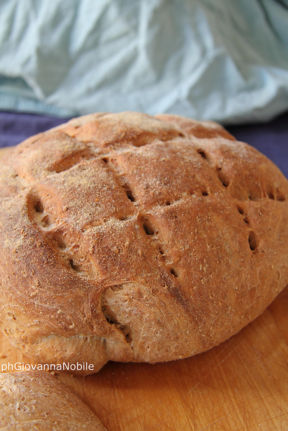 Pane integrale