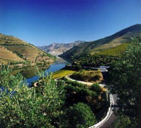 Tutto il sapore del vino del Portogallo Martedì 6 Novembre a God Save the Wine Capitals!