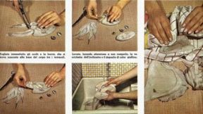 Come preparare calamari, polpi e seppie: