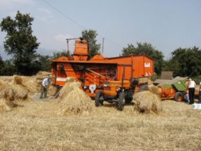 Menù per PRANZO DELLA BATTITURA DEL GRANO delle famiglie nobiliari ravennati di inizio '900 (Romagna)