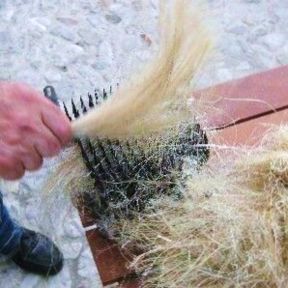 Menù per PRANZO della GRAMOLATURA DELLA CANAPA delle famiglie nobiliari ravennati di inizio '900 (Romagna)