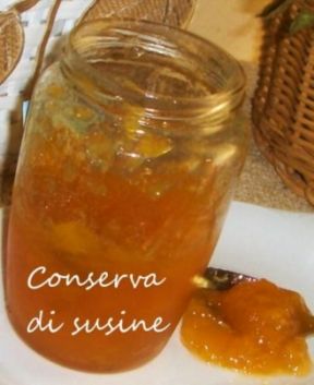 Artusi: Conserva di susine