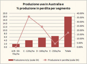 La sovrapproduzione di vino in Australia: situazione, strategia e scenari