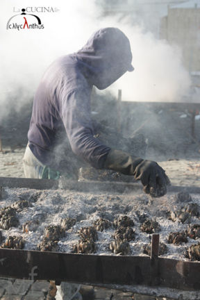 matticelle e carciofi