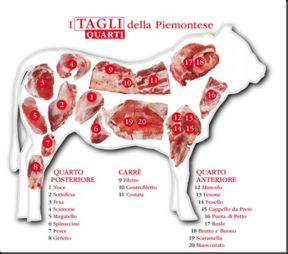 Conoscere la carne bovina, tagli, usi in cucina e caratteristiche