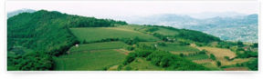 La Strada del vino Lessini Durello.