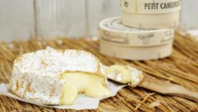 Camembert: il formaggio francese a rischio per mancanza di…pioppi