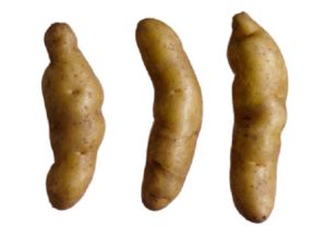 Patate ratte, ecco cosa sono e in quali ricette usarle