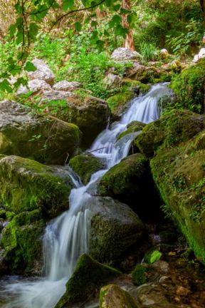 In viaggio con Roberto. La Cipresseta di Fontegreca: giochi d’acqua e di verde nel Parco del Matese
